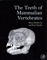 Tooth of
                  mammalian vertebrates