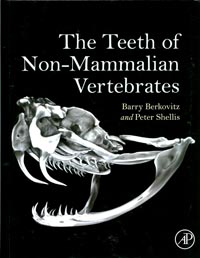 Tooth of
                  non-mammalian vertebrates