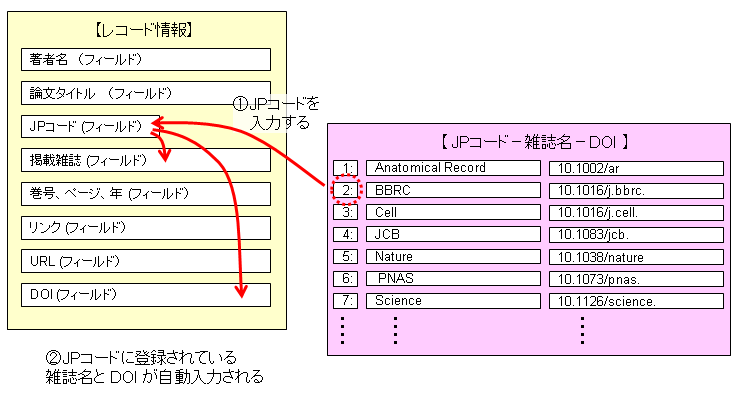 bbrcのような雑誌 ストア