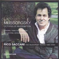 Rico Saccani / Pictures at an
                exhibition