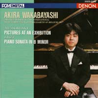 Akira Wakabayashi ( j/ W̊G / Pictures
                at an exhibition