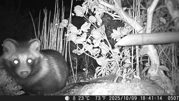 Sucra
              DVR-Z4 ̃^kL