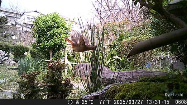 Sucra
              DVR-Z4 WEr^L