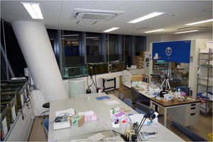 Uroko Lab.